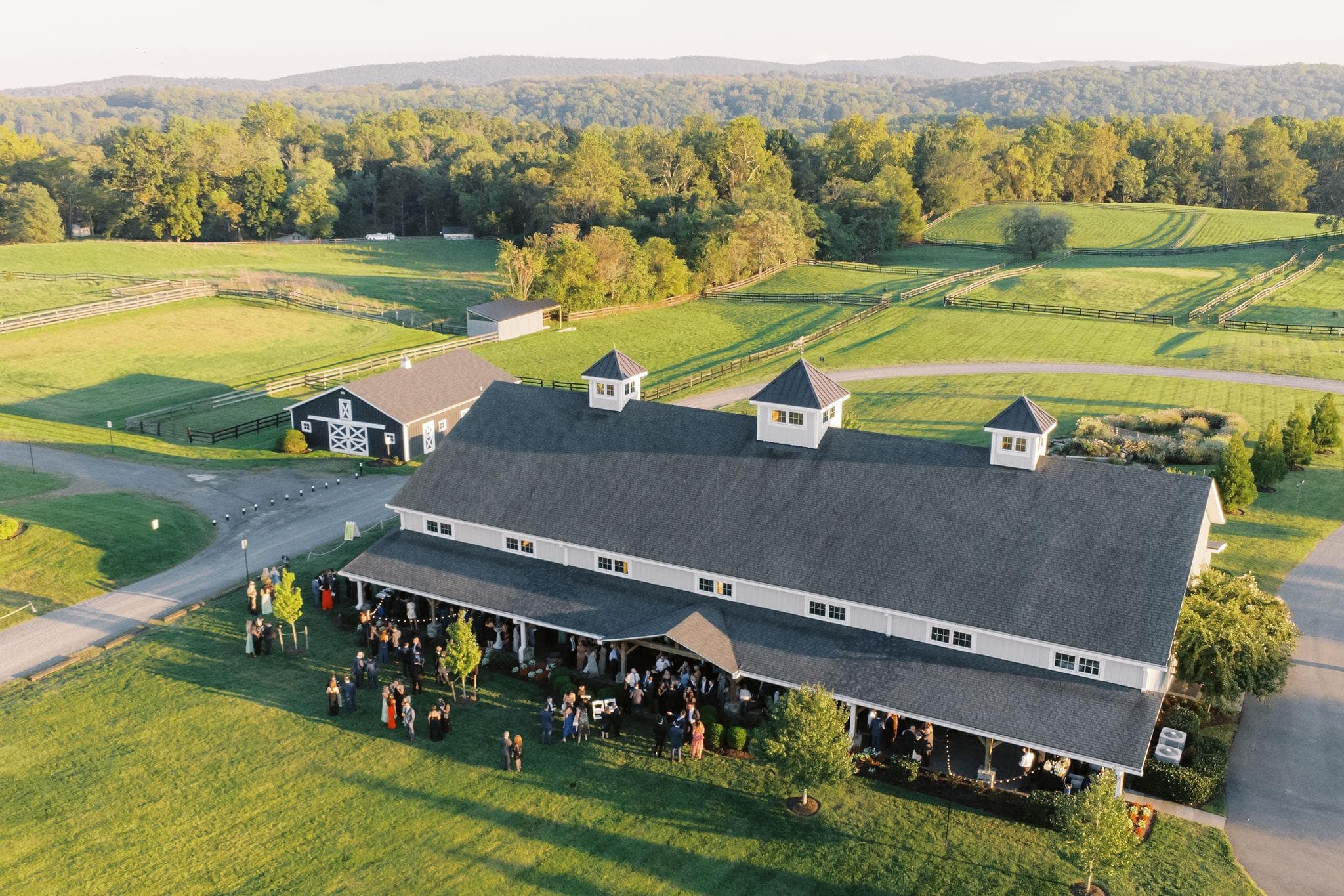 Timber, Crystal, and Open Pasture — 3